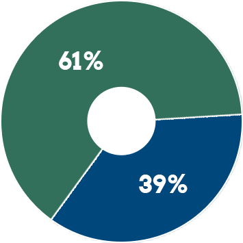 Grafico azionariato